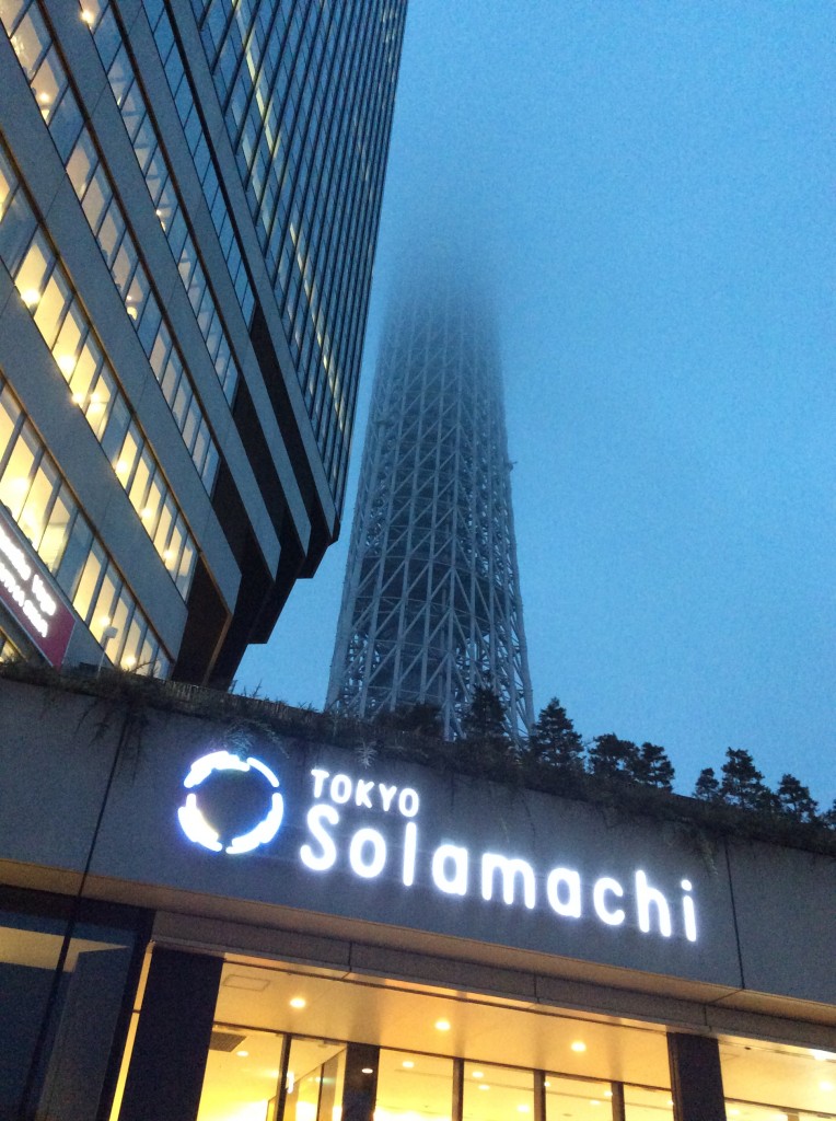 振り返るとスカイツリー