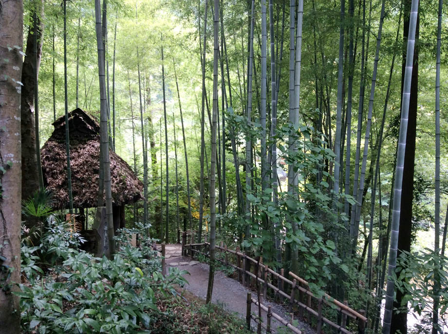 黒茶屋の竹林